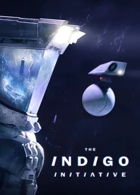 The Indigo Initiative