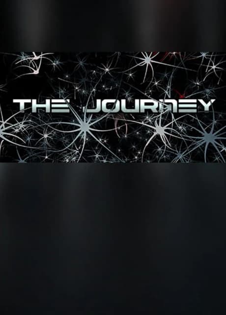 The Journey VR