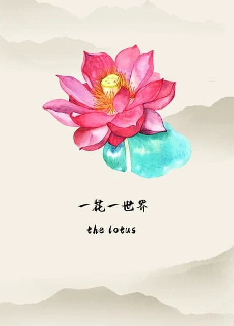 The Lotus