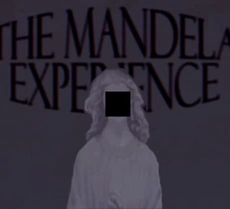 The Mandela Experience