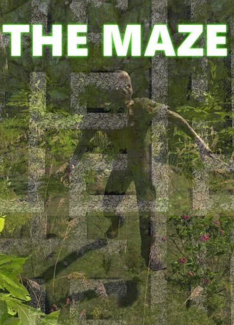 The Maze