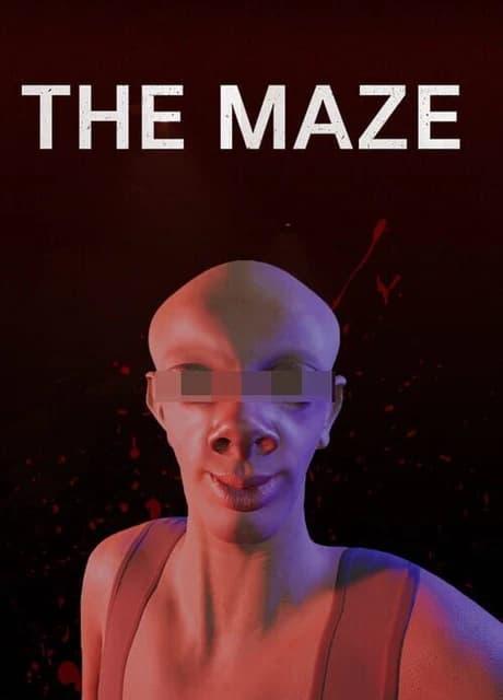 The Maze