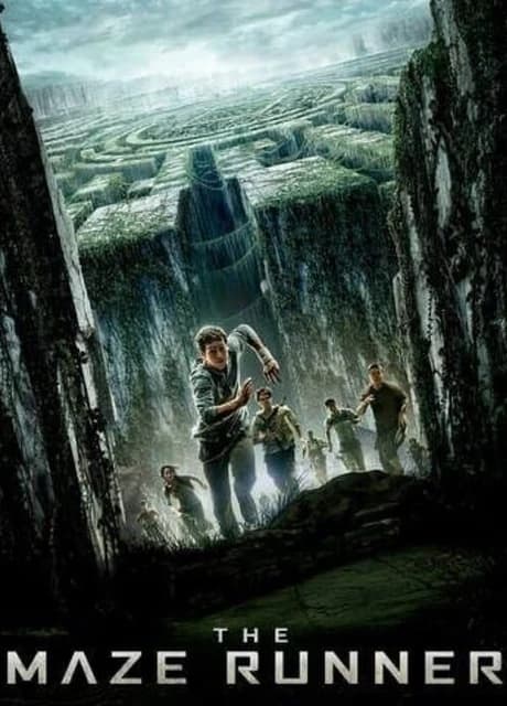 The Maze Runner