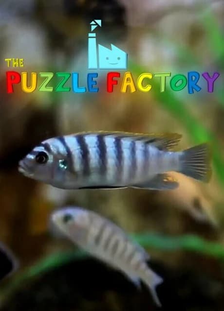 The Puzzle Factory