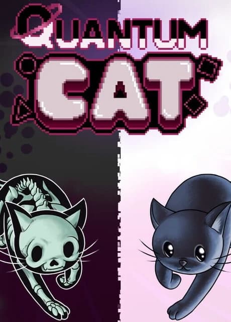 The Quantum Cat