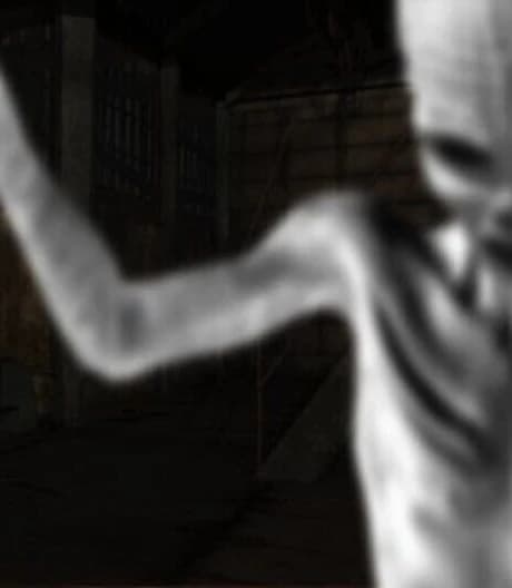 The Rake