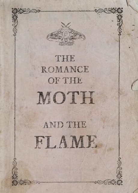 The Romance of the Moth and the Flame