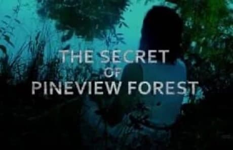 The Secret of Pineview Forest