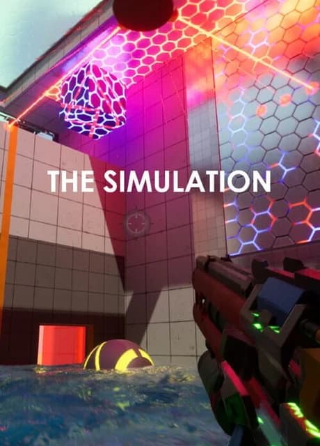 The Simulation