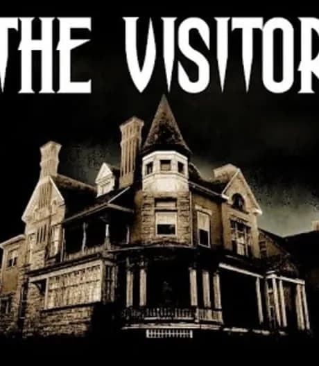 The Visitor