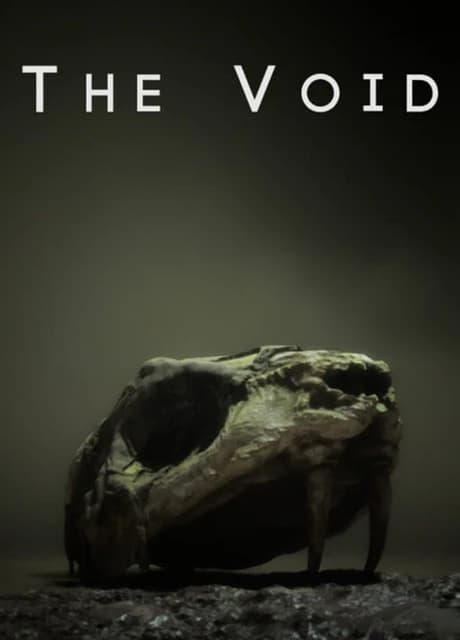 The Void