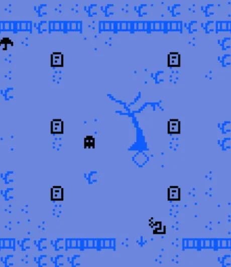 The Way It Rains on Animals