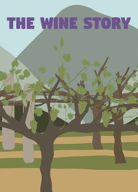 The Wine Story