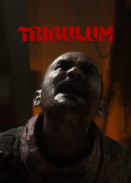 Tribulum
