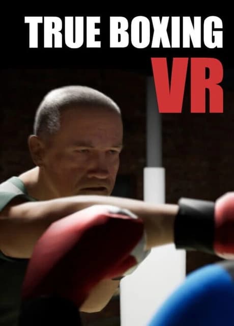 True Boxing VR