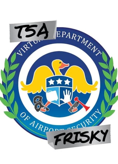 TSA Frisky VR