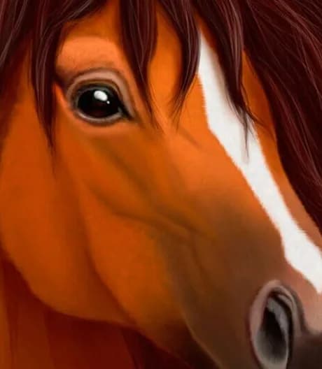 Ultimate Horse Simulator