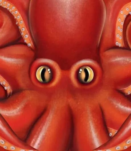 Ultimate Ocean Simulator