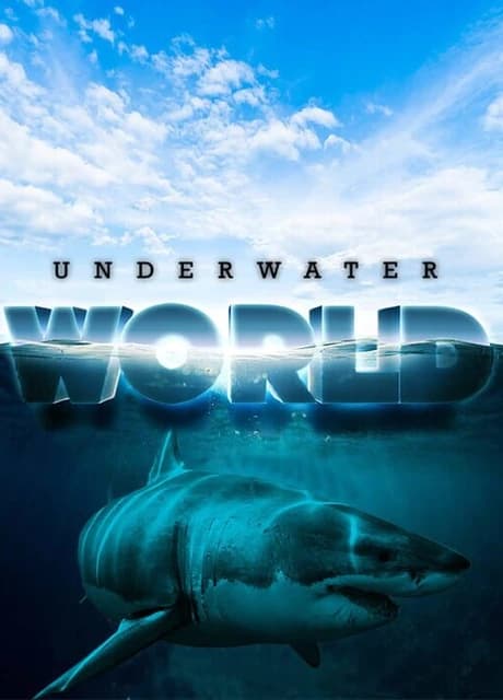 Underwater World