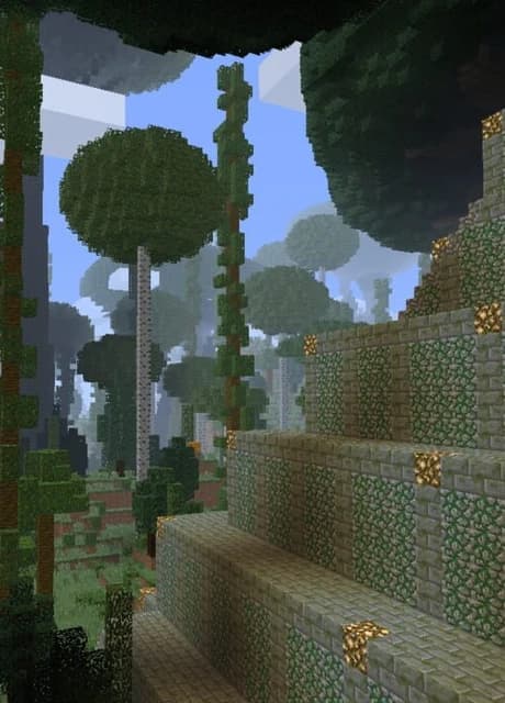 Untold Stories 2: Bigleaf Forest
