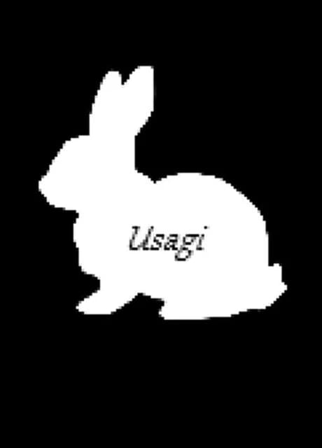 Usagi