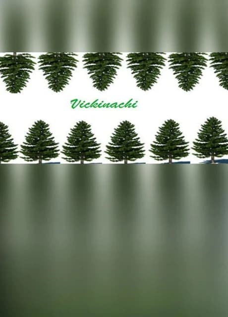 Vickinachi
