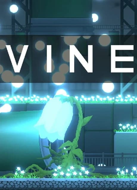 Vine