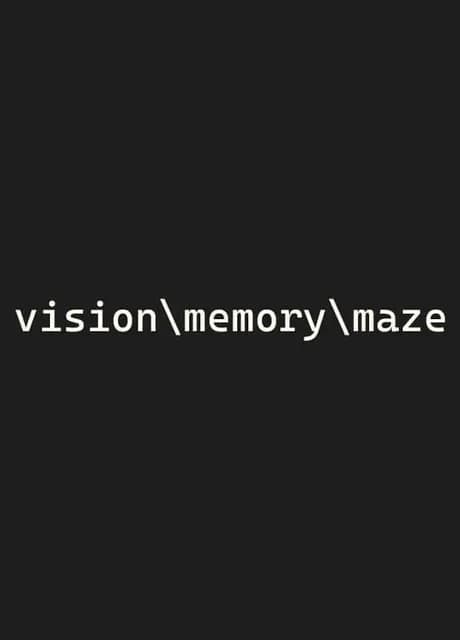 Vision Memory Maze