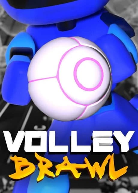 VolleyBrawl