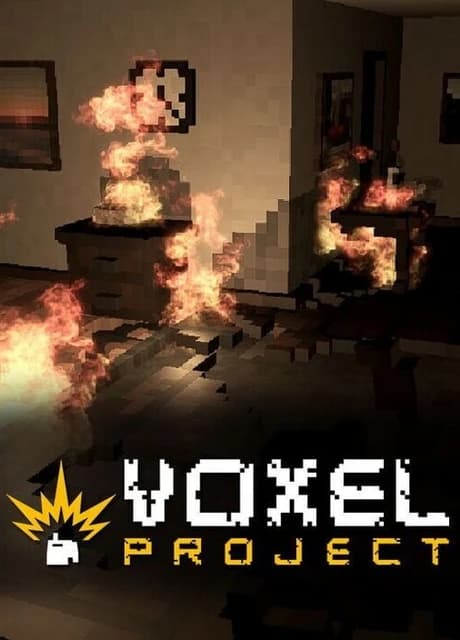 Voxel Project
