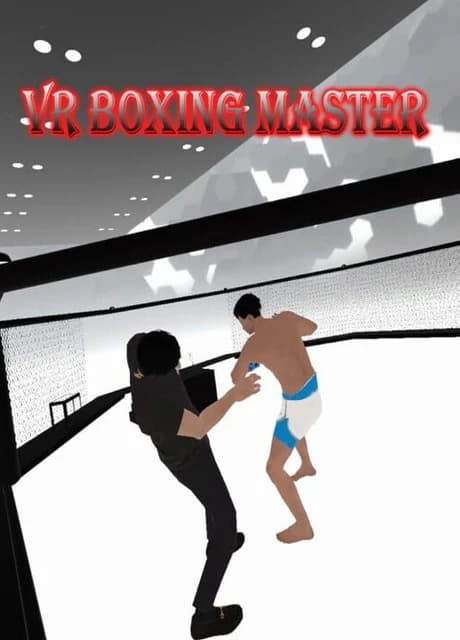 VR Boxing Master