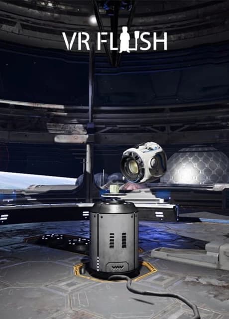 VR Flush