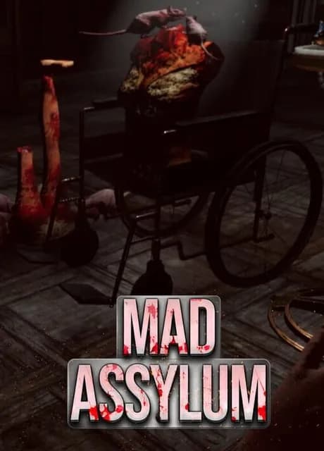 VR Mad Asylum