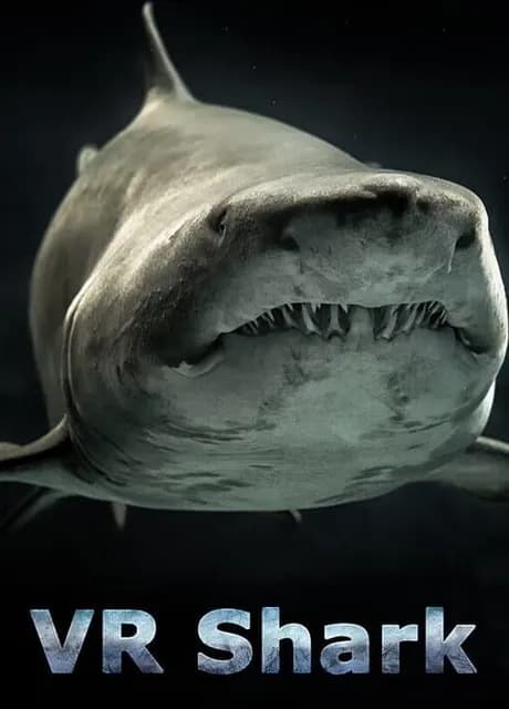 VR Shark