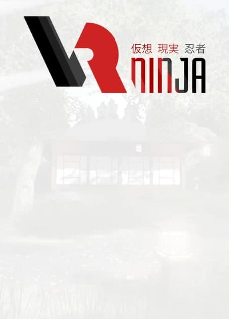 VRNinja