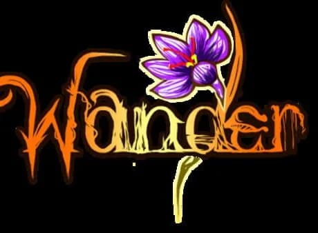 Wander