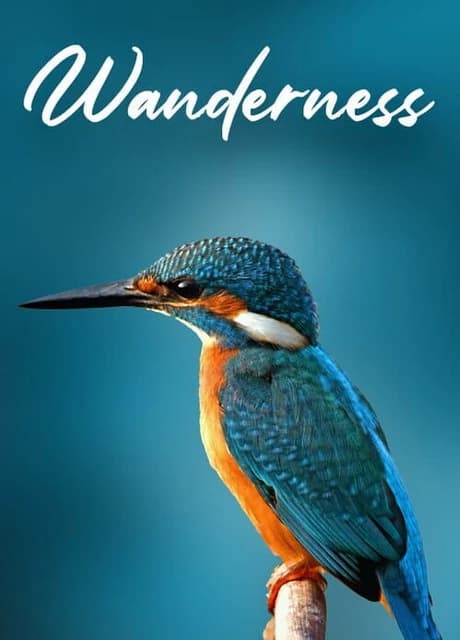 Wanderness