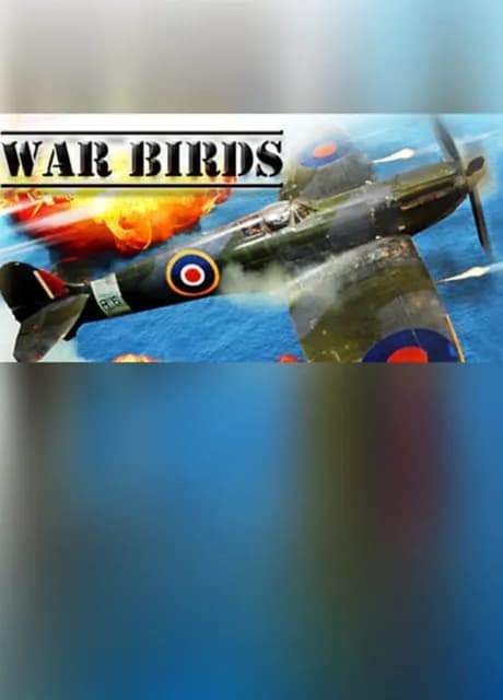 War Birds: WW2 Air strike 1942