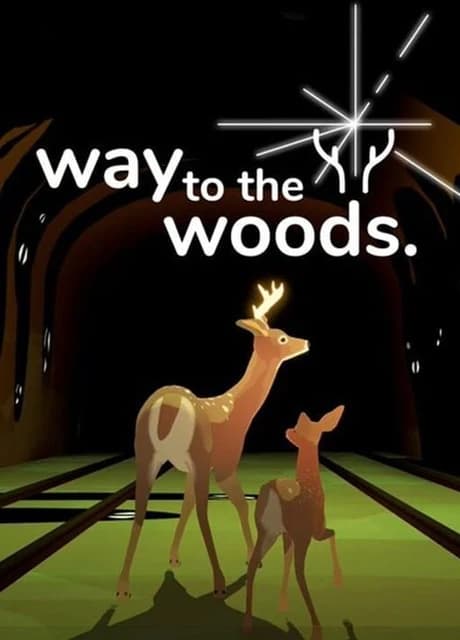 Way to the Woods
