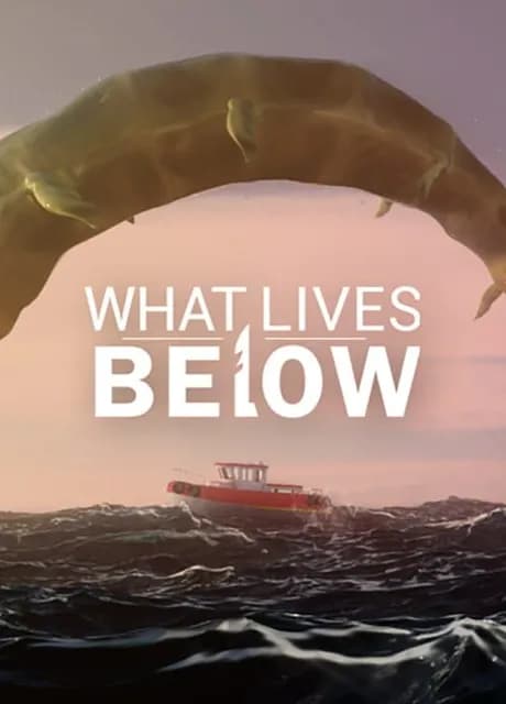 What Lives Below