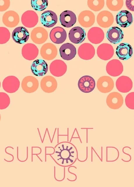 What Surrounds Us