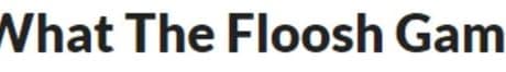 What The Floosh Game