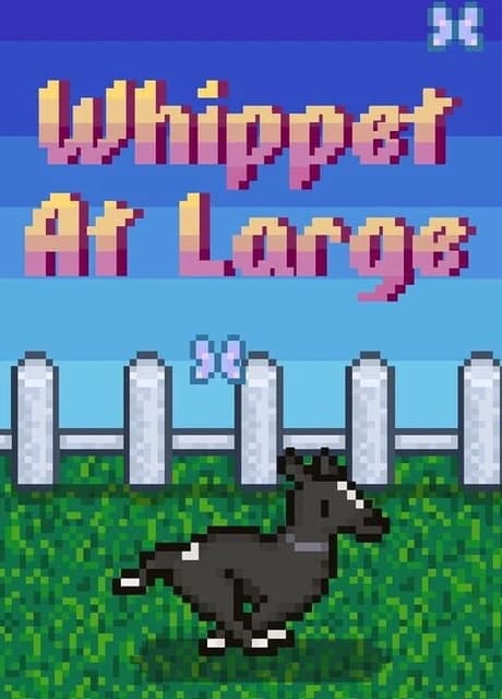 Whippet At Large