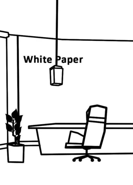 White Paper