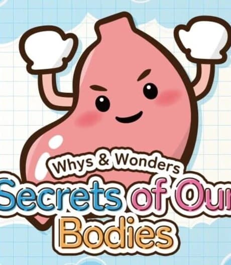 Whys & Wonders Secrets of Our Bodies