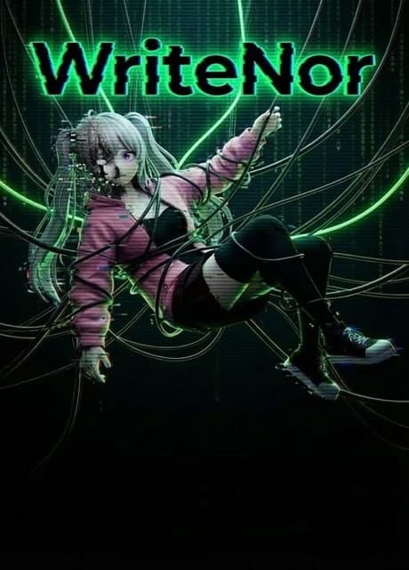 WriteNor