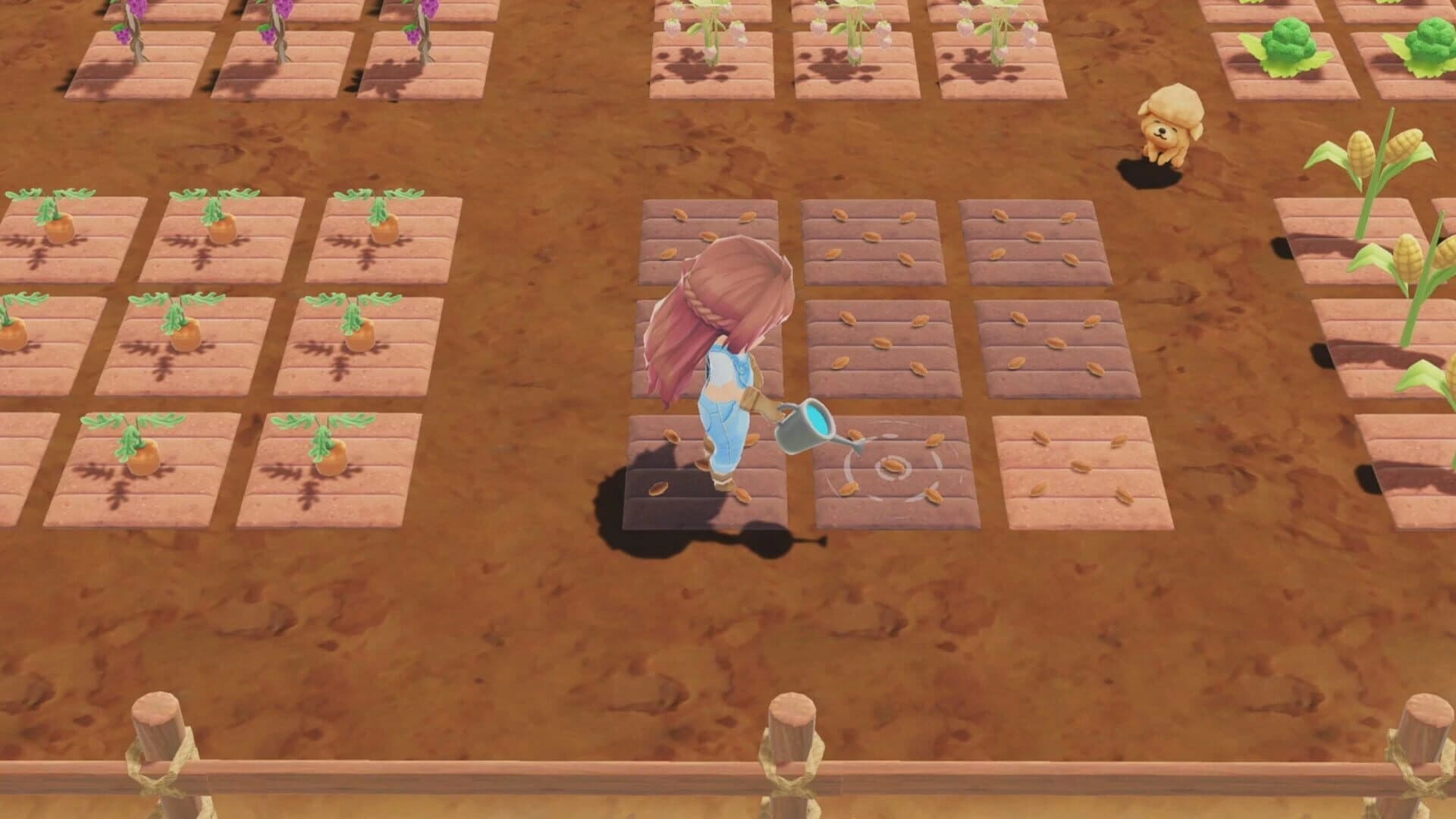 A New Leaf: Memories screenshot 5
