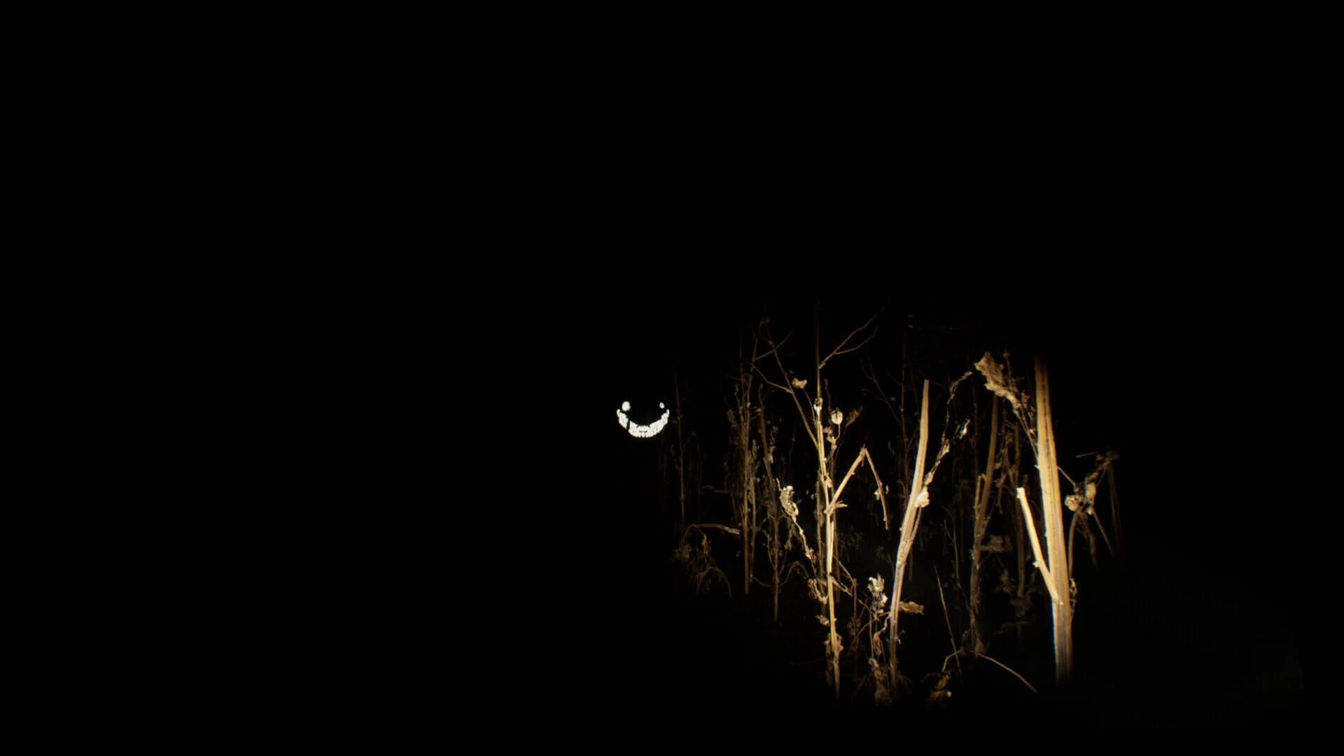 Adrift in the Backrooms screenshot 3