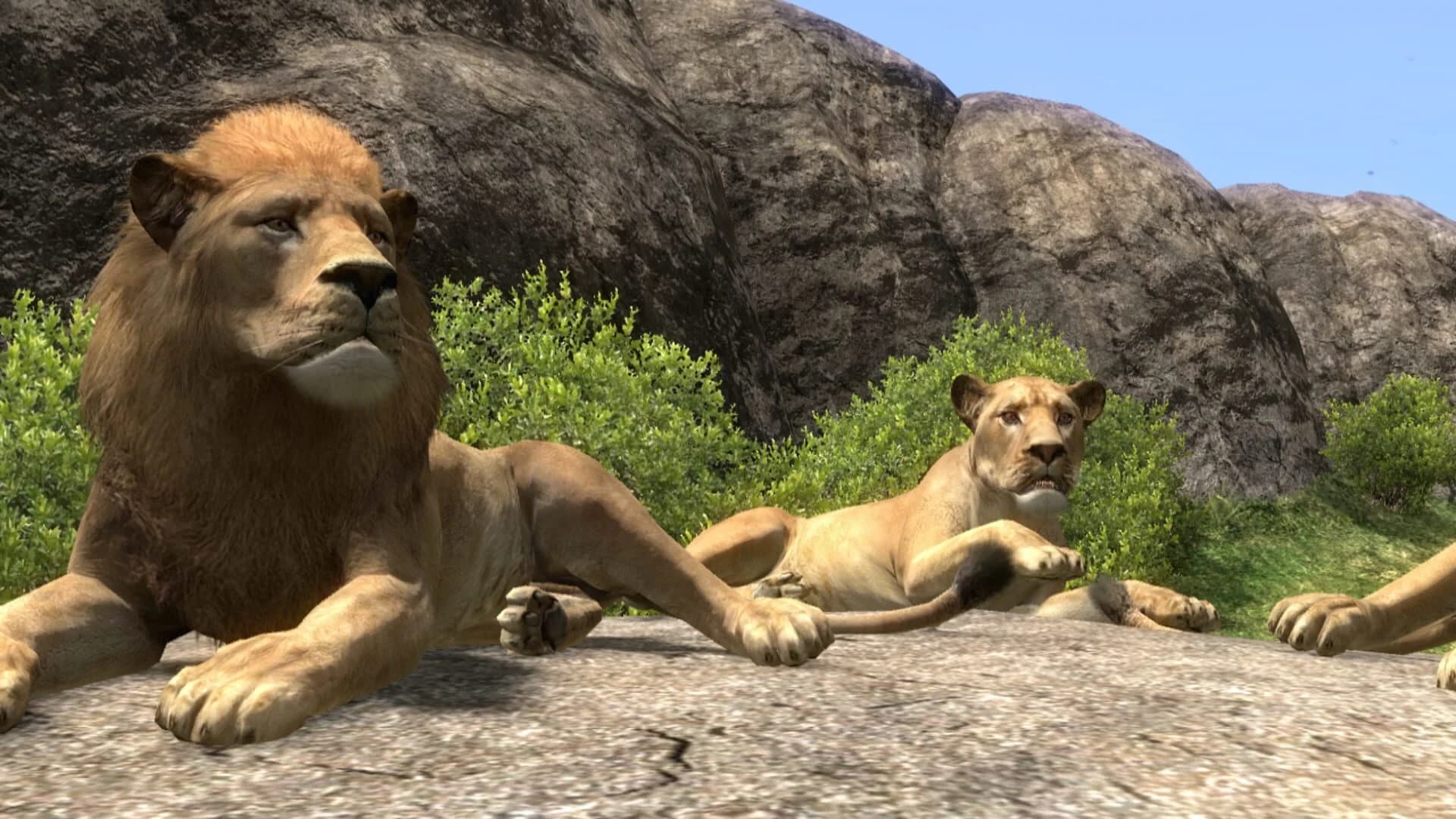 Afrika screenshot 3