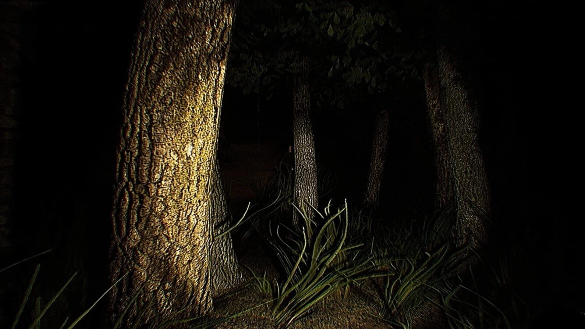 Agora Project screenshot 4